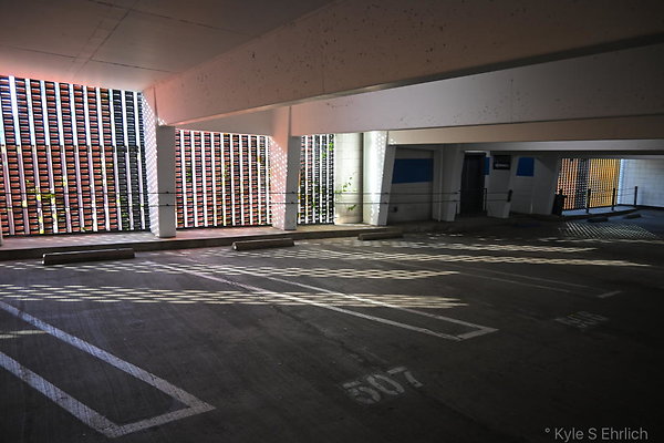 DSC 6554
