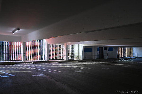 DSC 6519