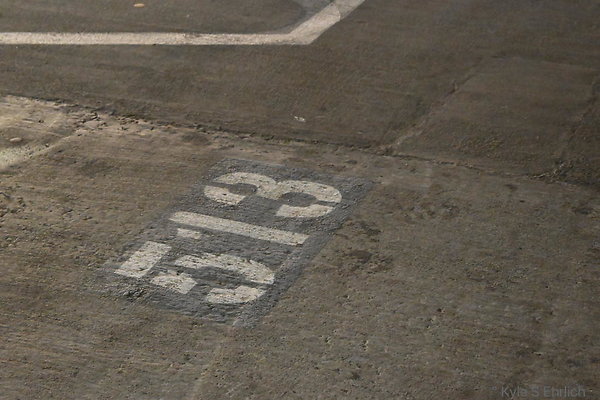 DSC 6571