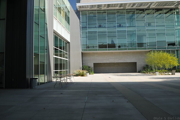 DSC 4263