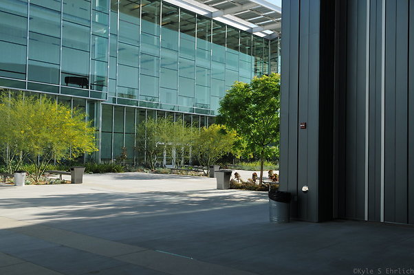 DSC 4268