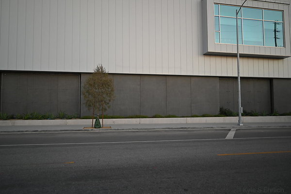 DSC 4613