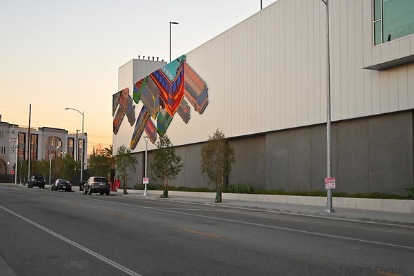 DSC 4589