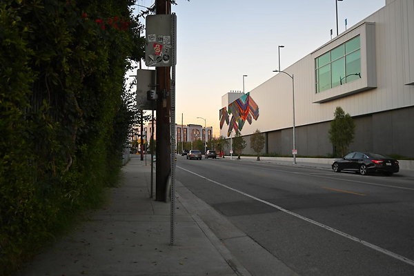 DSC 4567