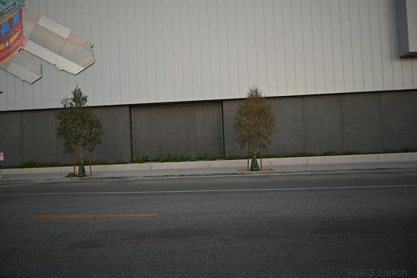 DSC 4607