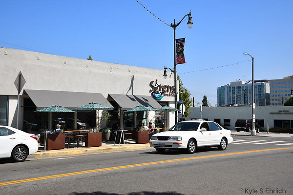 Sirens Java and Tea - 7th St 44