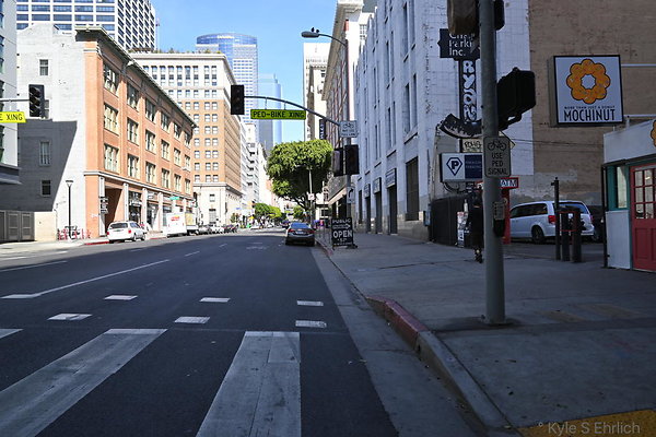 DSC 5036