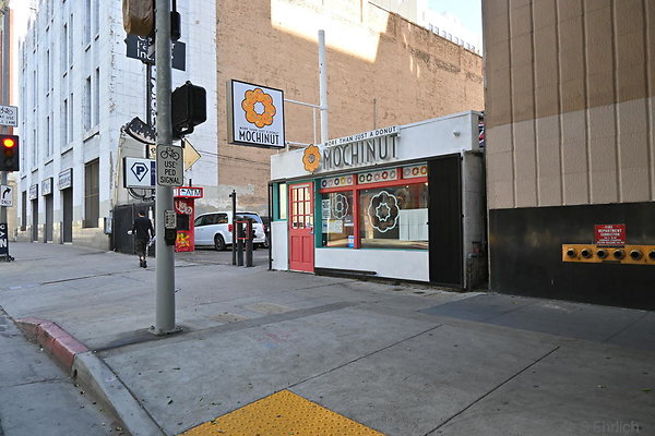 DSC 5037