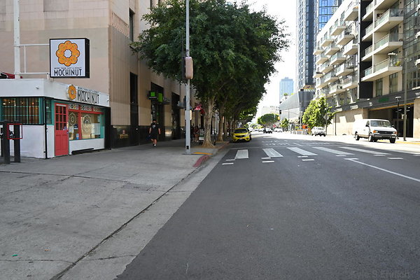 DSC 5018