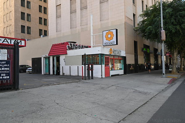 DSC 5017