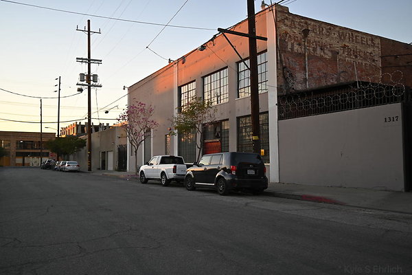 DSC 4519