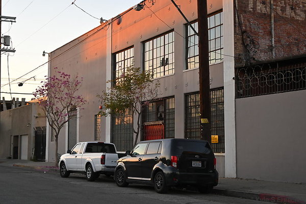 DSC 4518