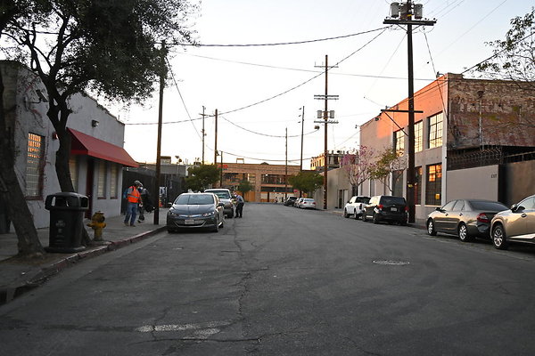 DSC 4504
