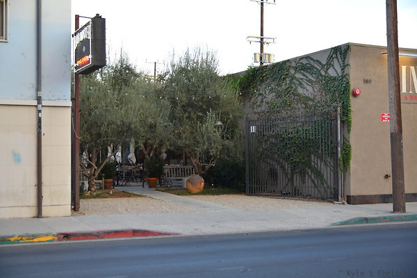 098 Zinc