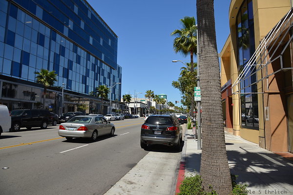 DSC 2391