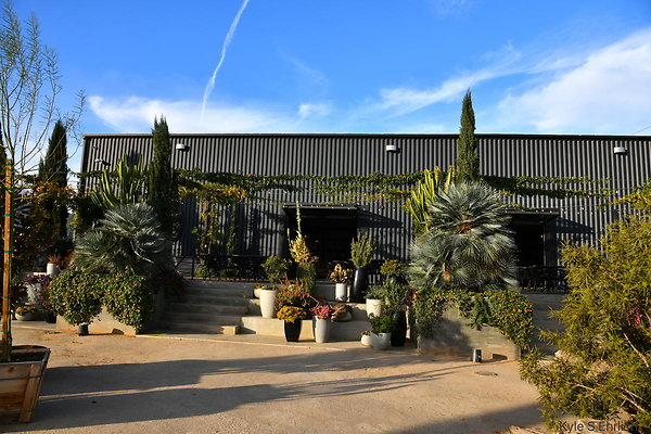 02 South Retail Exterior Yard