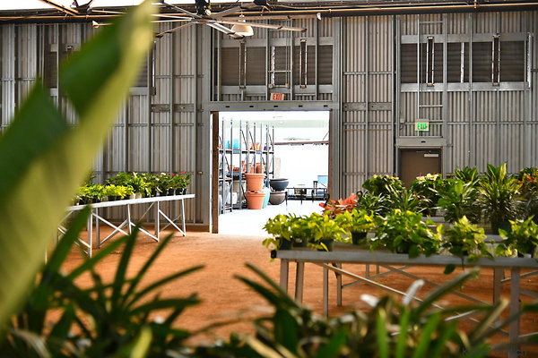 03 Green House