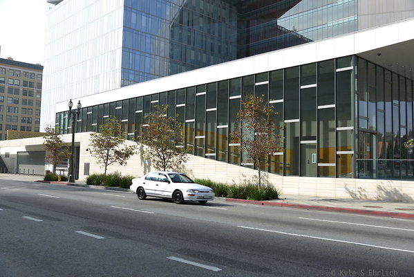 DSC 5655