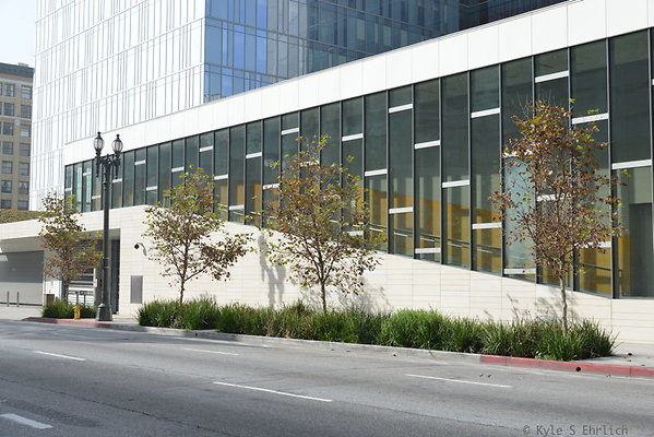DSC 5666