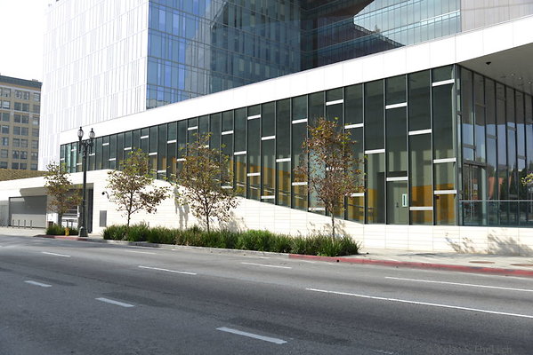 DSC 5652