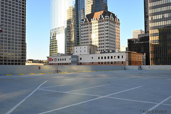 DSC 3884