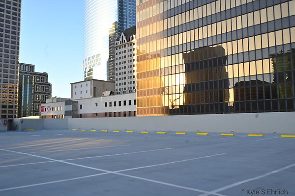 DSC 3966