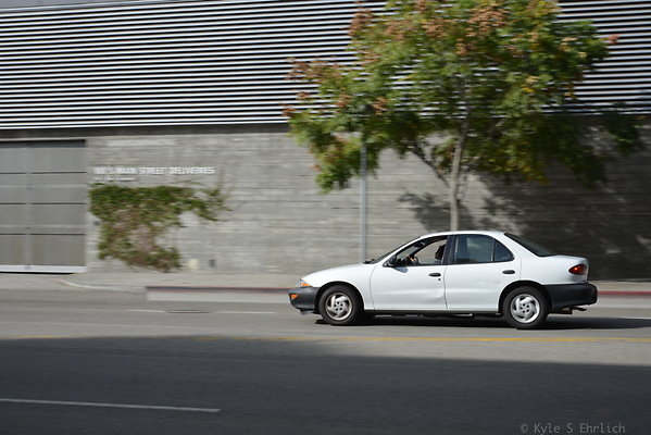 DSC 5401