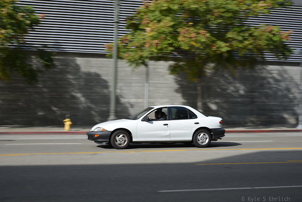 DSC 5398