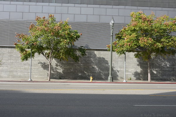 DSC 5392
