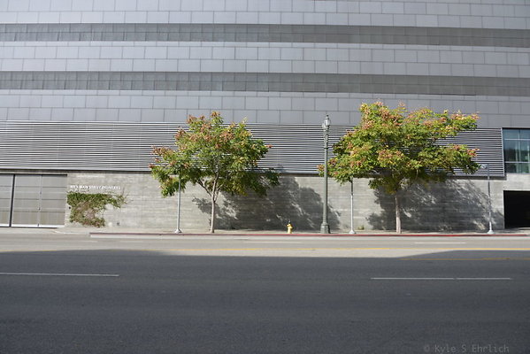 DSC 5391