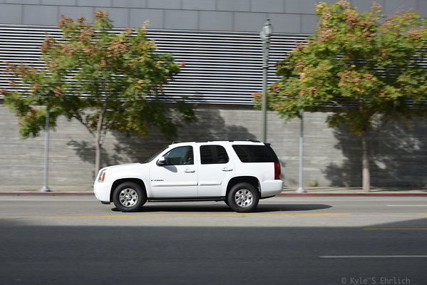 DSC 5395