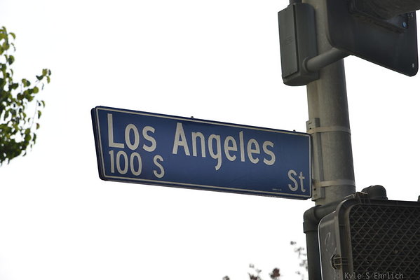 DSC 5447