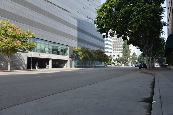 DSC 5420