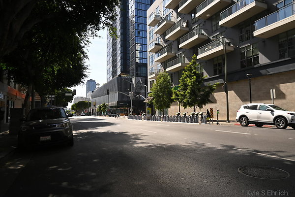 DSC 5075