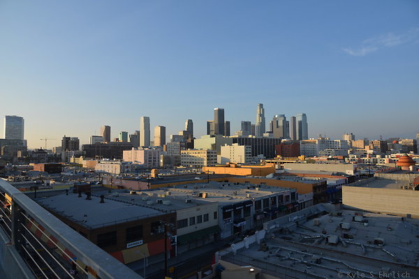 DSC 1460