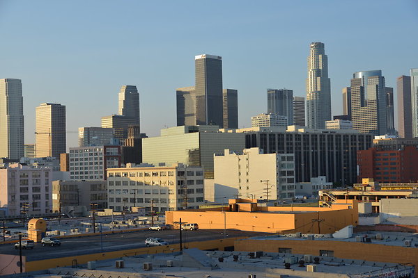 DSC 1469