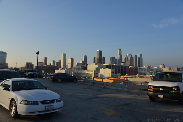 DSC 1446