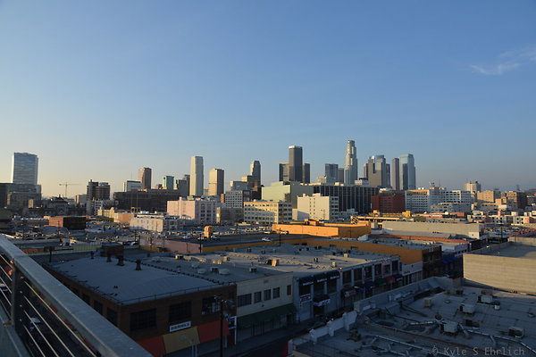DSC 1464