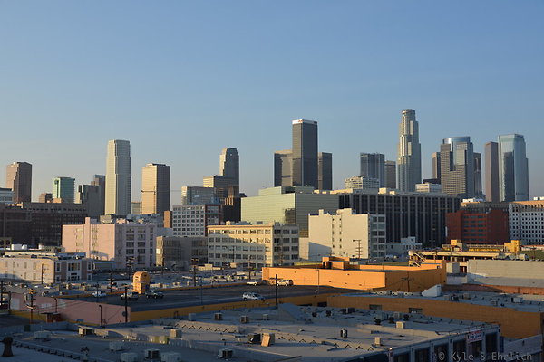 DSC 1461