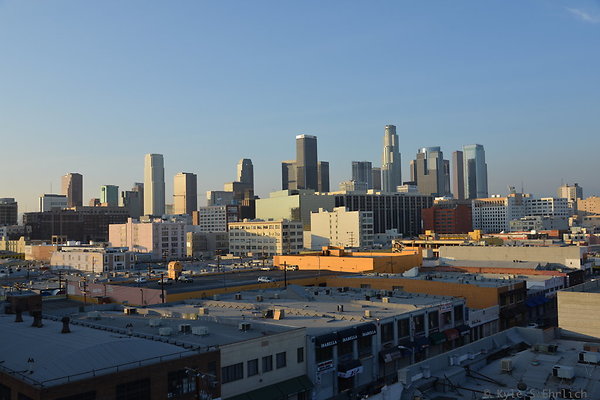 DSC 1466