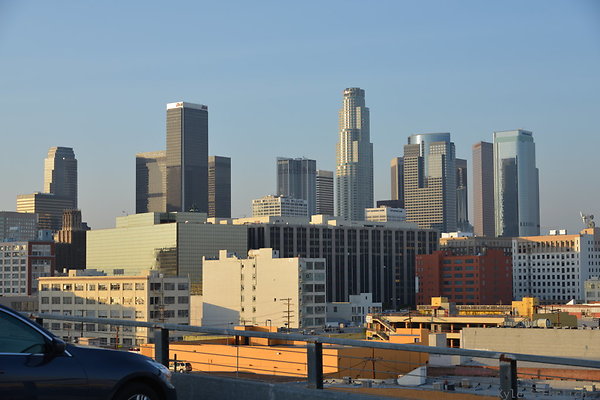 DSC 1459