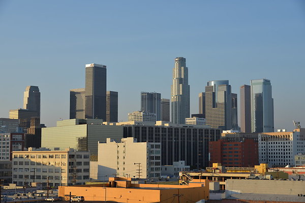 DSC 1462