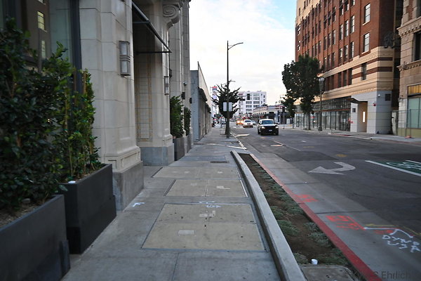 DSC 6017