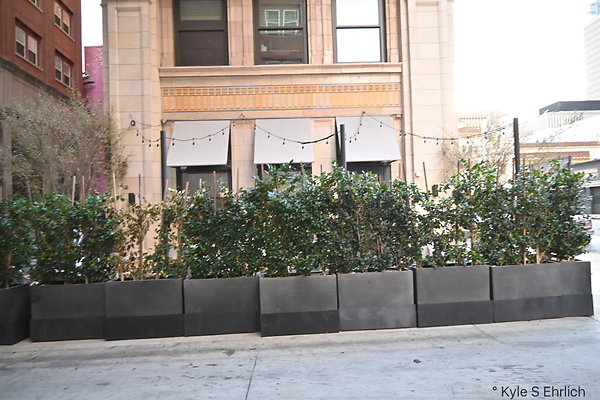 DSC 4748