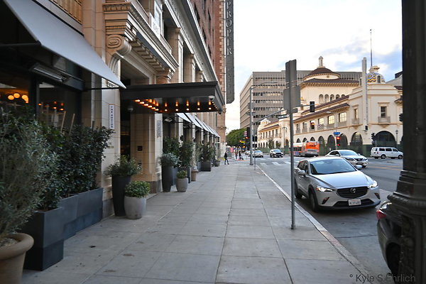 DSC 5023