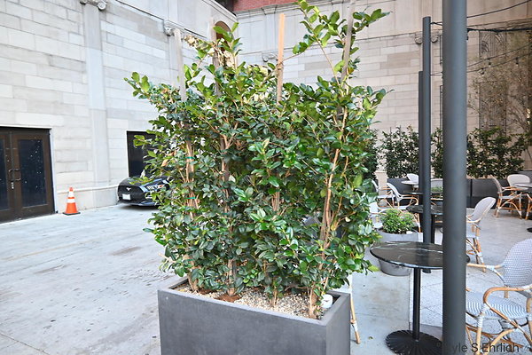 DSC 4744