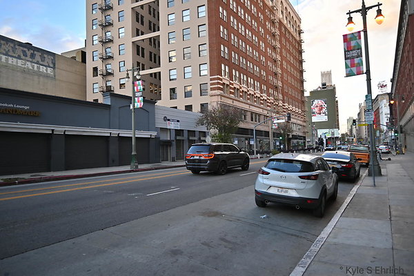 DSC 5025