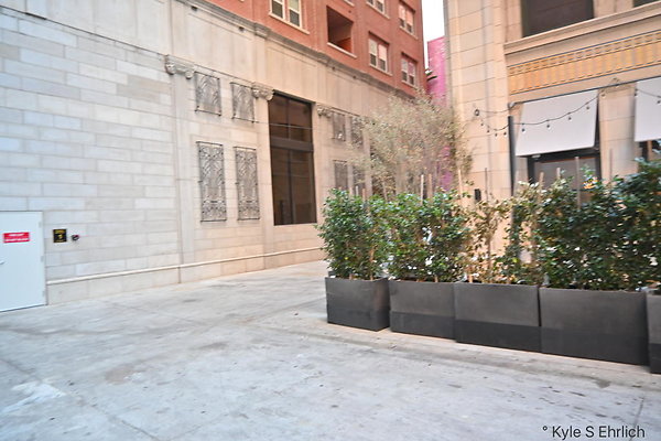 DSC 4747