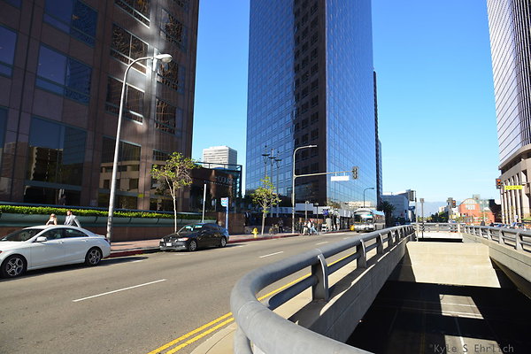 DSC 5553