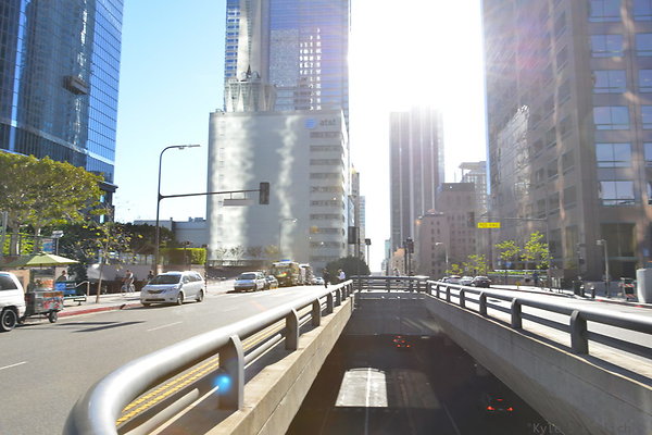 DSC 5504